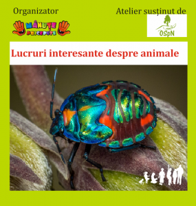 Festivalul Altfel - Lucruri interesante despre animale  - OSPN - ateliere educatie nonformala liceu